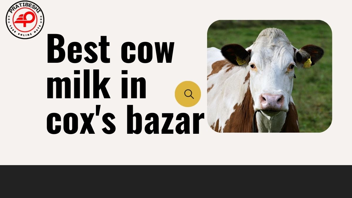 Best cow milk in cox’s bazar in 2025